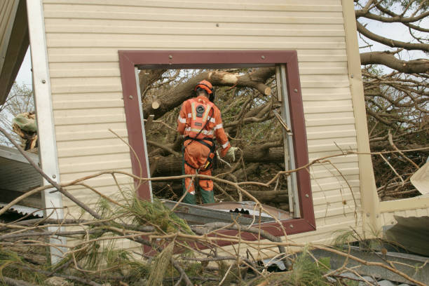 Best Tree Preservation Services  in Upper Grand Lagoon, FL